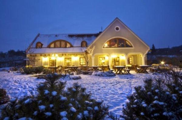 Koczor Winery & Guesthouse بالاتونفوريد المظهر الخارجي الصورة