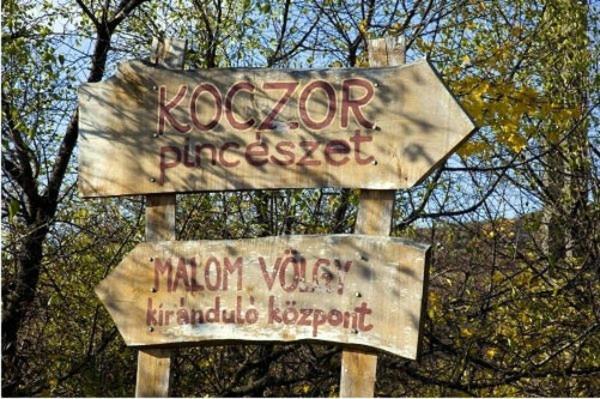 Koczor Winery & Guesthouse بالاتونفوريد المظهر الخارجي الصورة