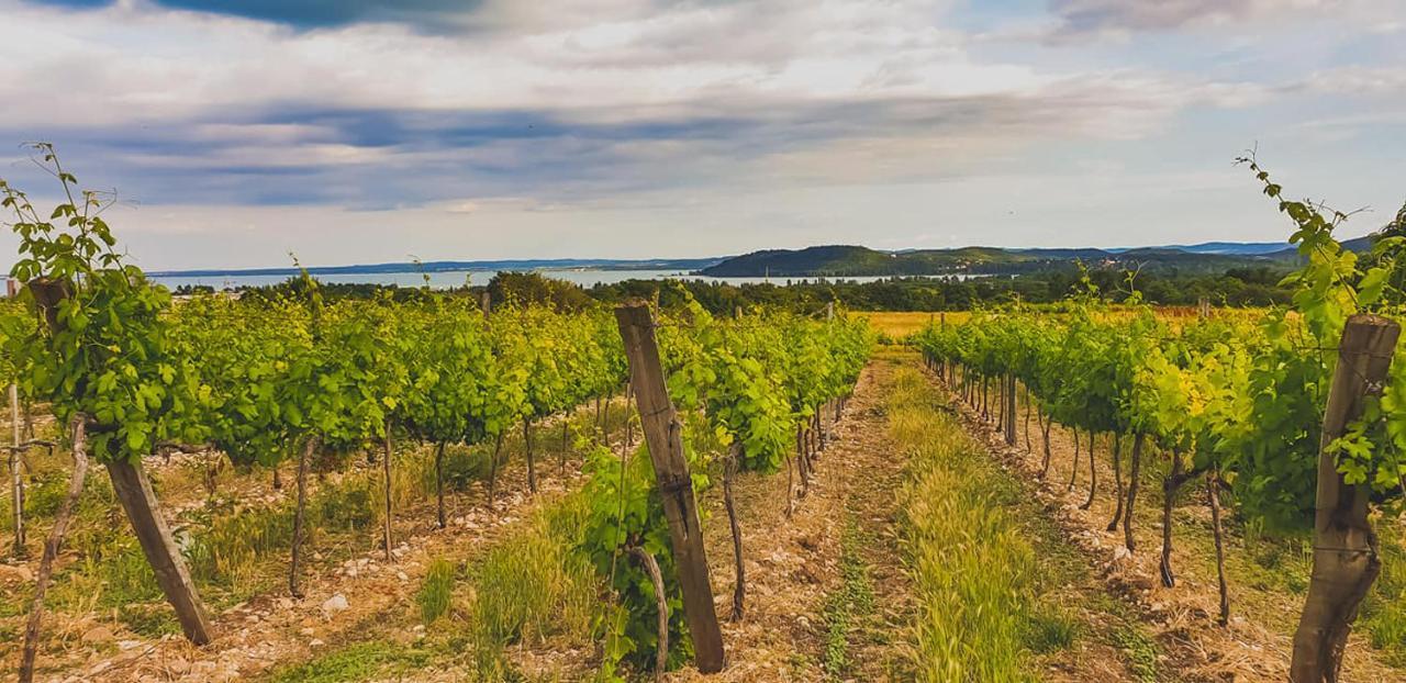 Koczor Winery & Guesthouse بالاتونفوريد المظهر الخارجي الصورة