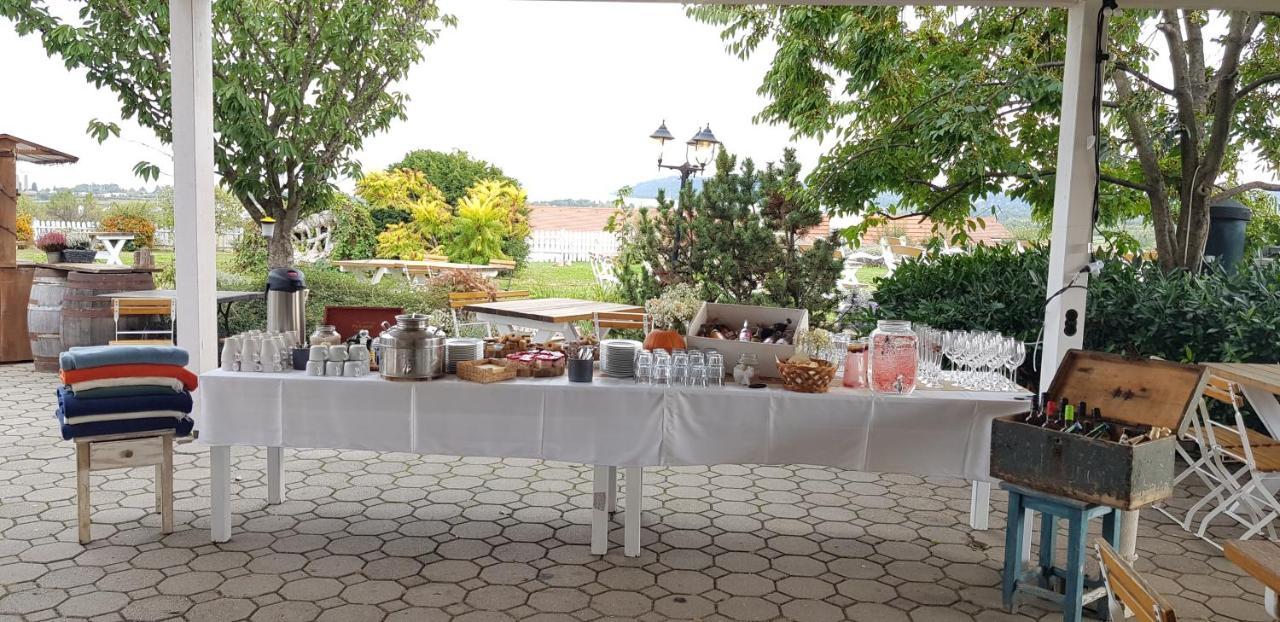 Koczor Winery & Guesthouse بالاتونفوريد المظهر الخارجي الصورة