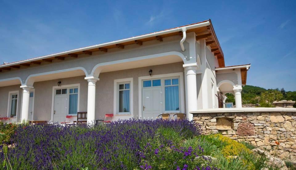 Koczor Winery & Guesthouse بالاتونفوريد المظهر الخارجي الصورة