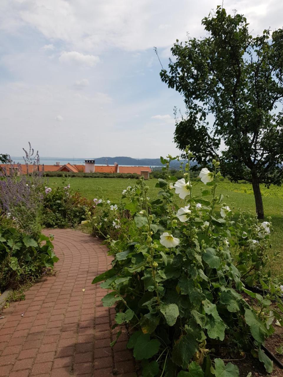 Koczor Winery & Guesthouse بالاتونفوريد المظهر الخارجي الصورة