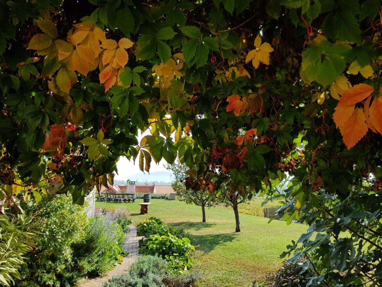 Koczor Winery & Guesthouse بالاتونفوريد المظهر الخارجي الصورة