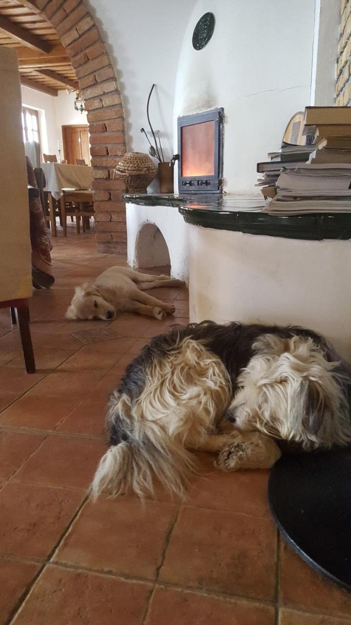 Koczor Winery & Guesthouse بالاتونفوريد المظهر الخارجي الصورة