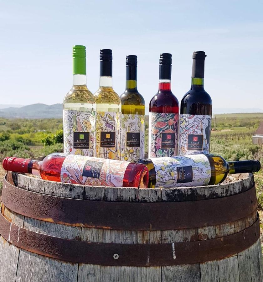 Koczor Winery & Guesthouse بالاتونفوريد المظهر الخارجي الصورة